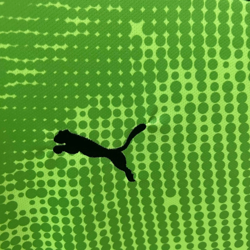 Camisa Portugal 25∕26 Goleiro - Verde