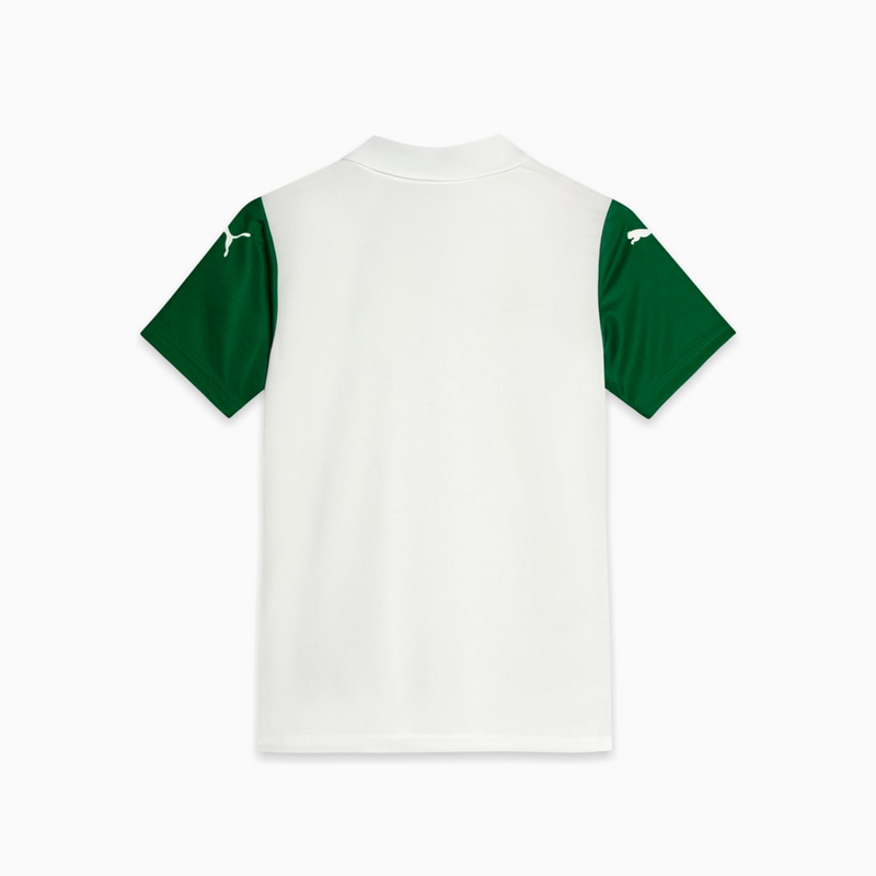 Kit Infantil Palmeiras Il 25/26